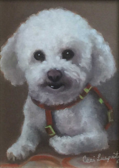 small-white-dog-1500px